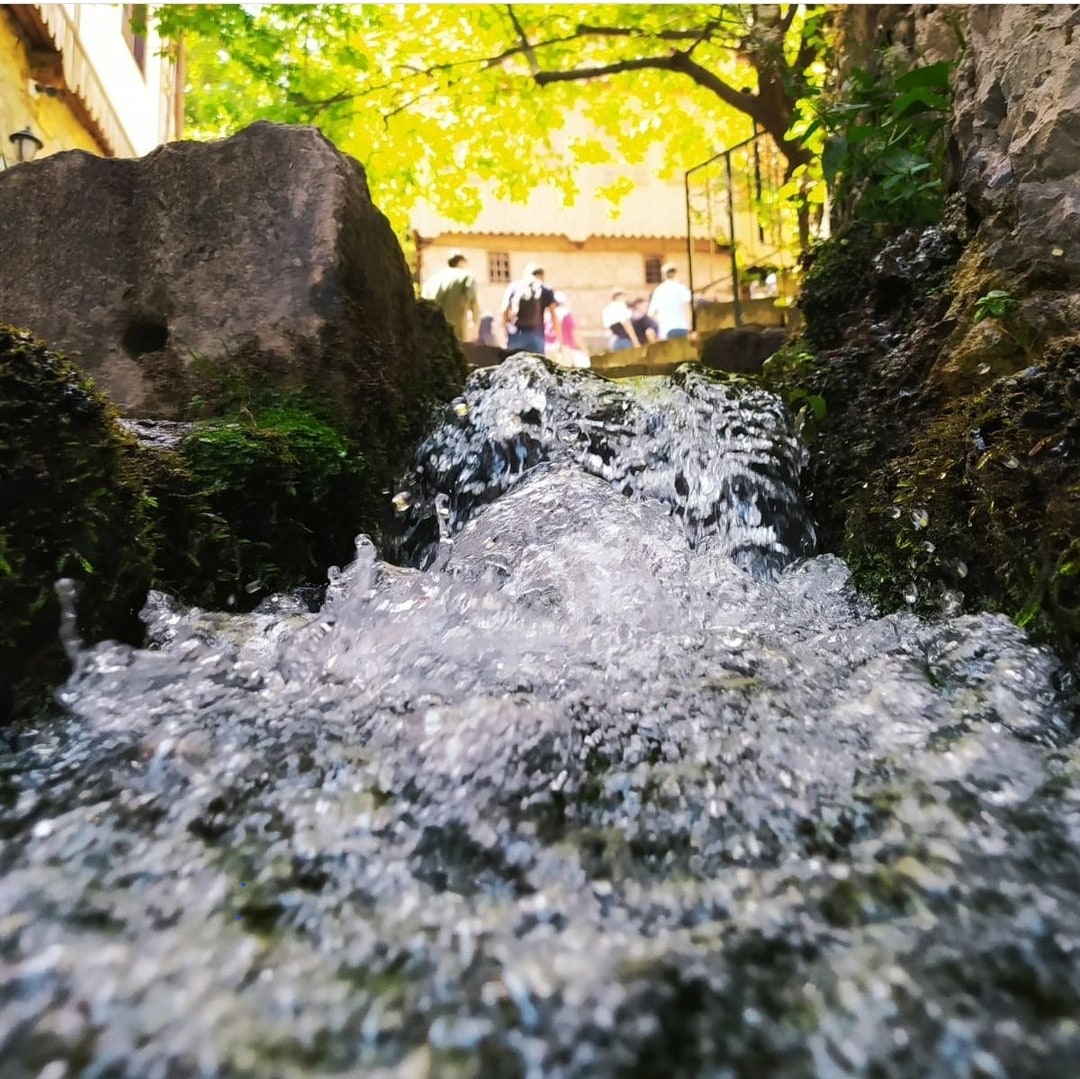 Fotoğraf:Miraç Ali TAŞ