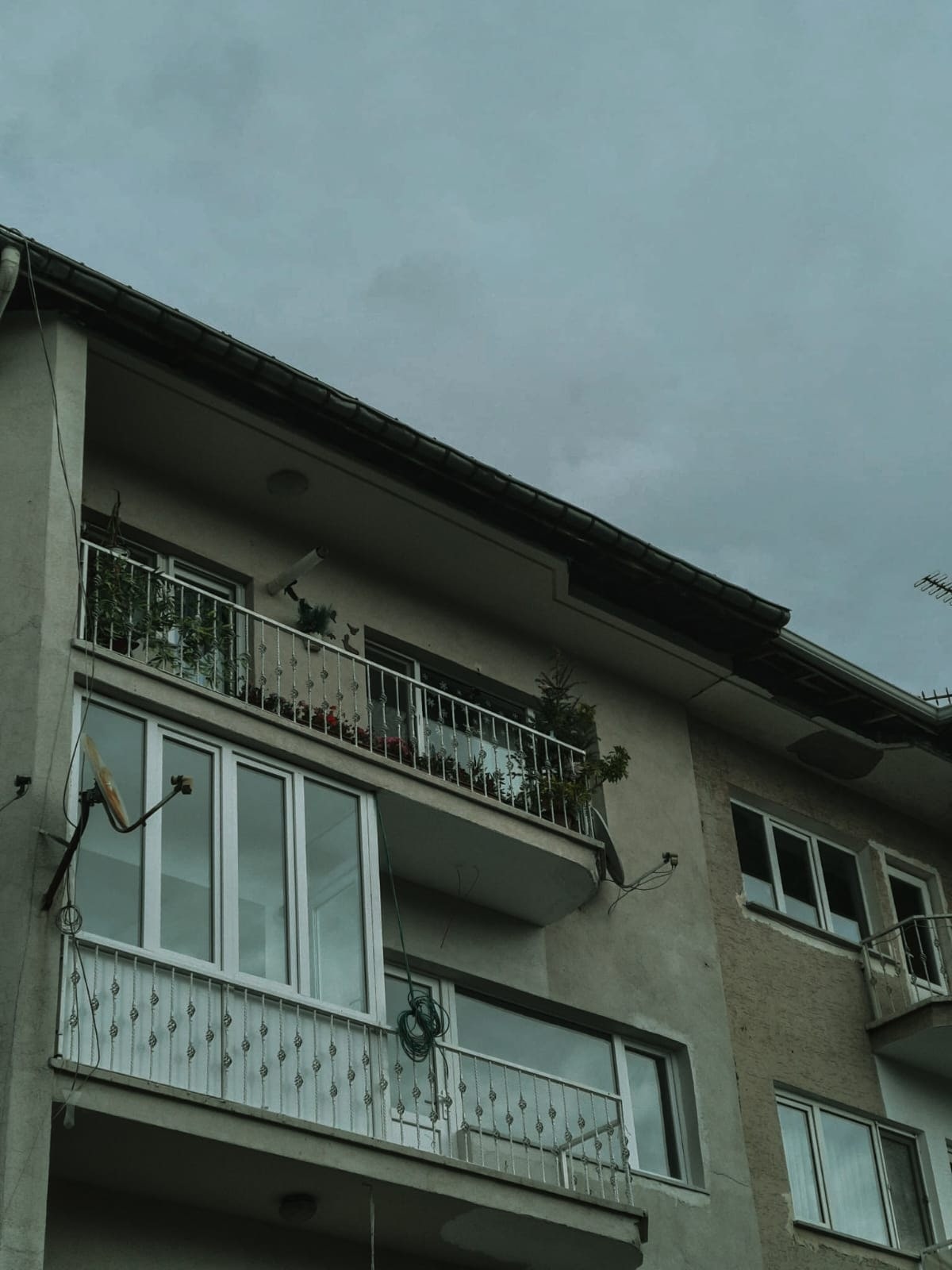 Fotoğraf:Rabia Sıla ORHONLU