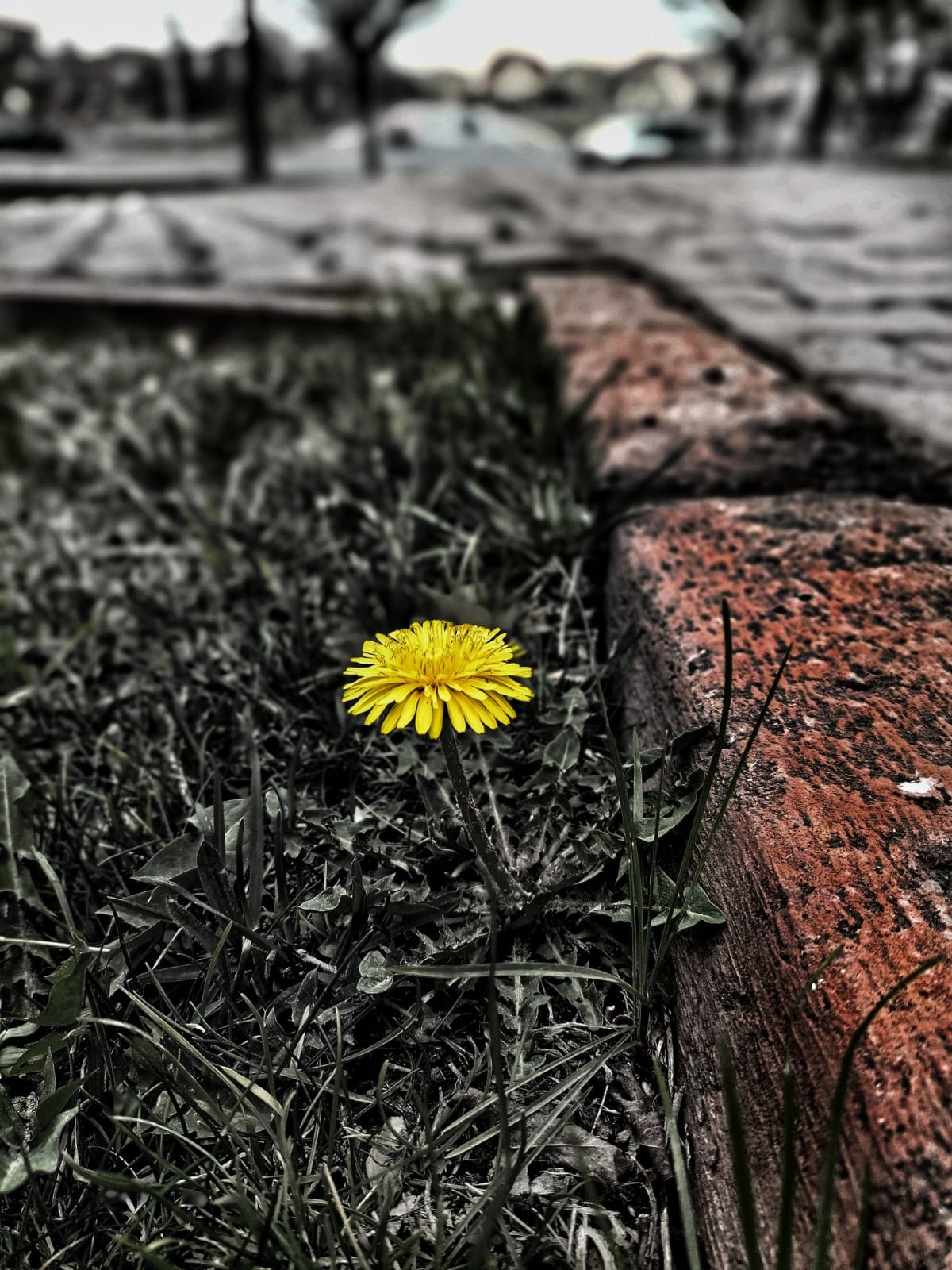 Fotoğraf:Tesnim ÇELİK