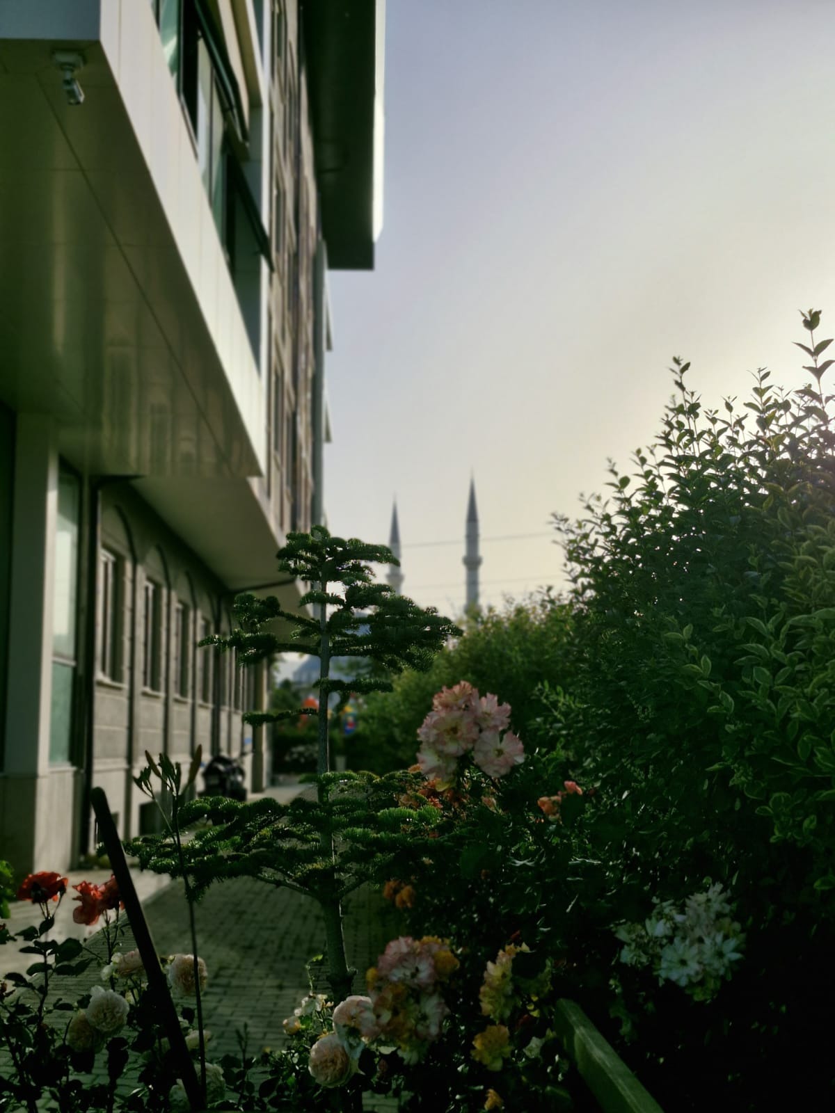 Fotoğraf:Mirac Ali TAŞ