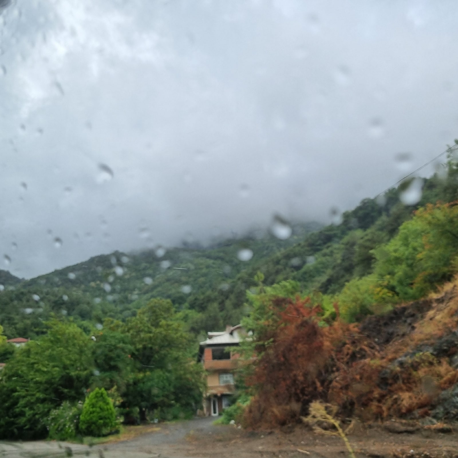Fotoğraf:Zehra ULUBABA