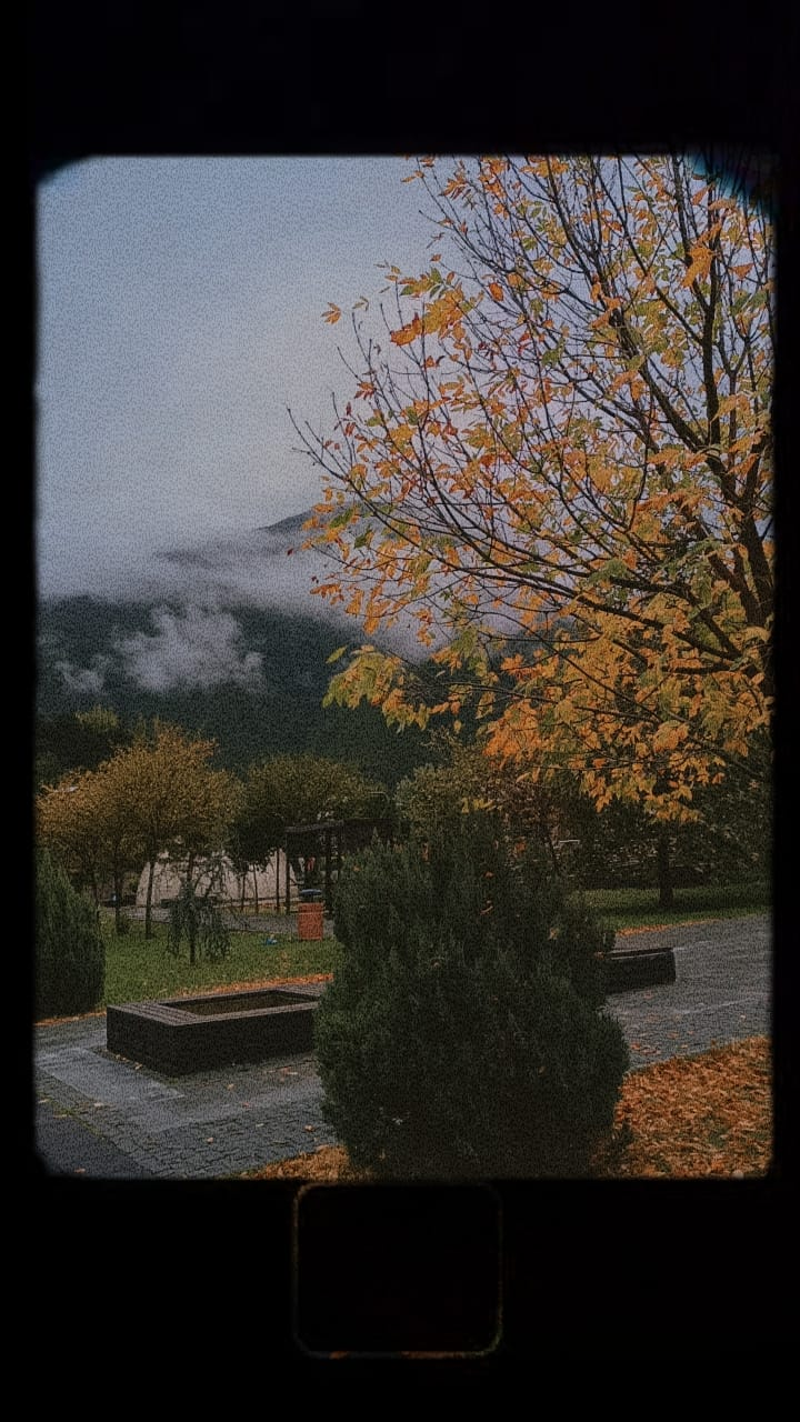 Fotoğraf:Ayşe ARPACI