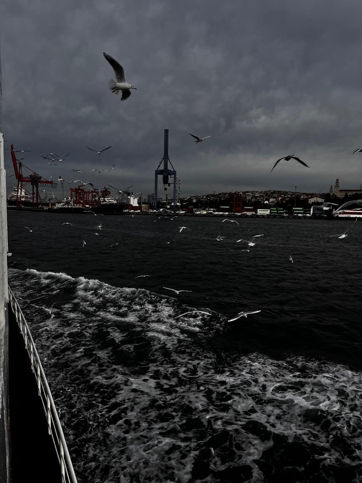 Fotoğraf: Yaren KASIMOĞLU