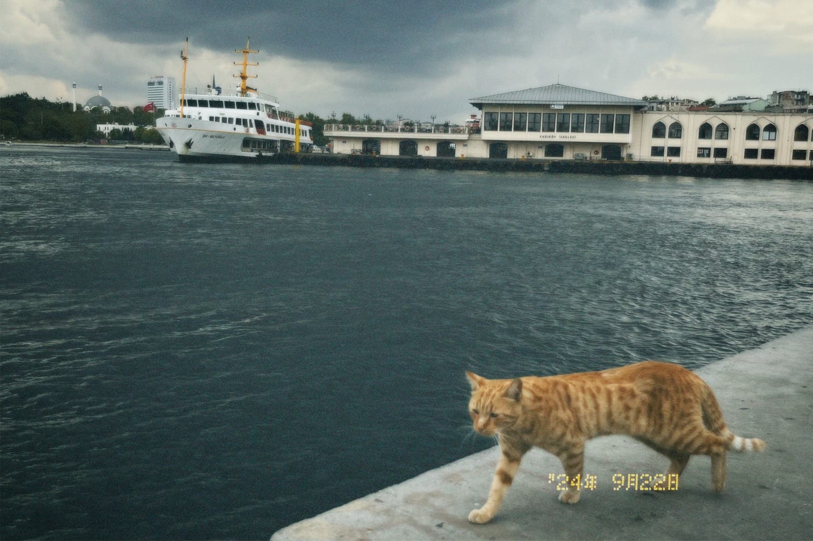 Fotoğraf:Yaren KASIMOĞLU