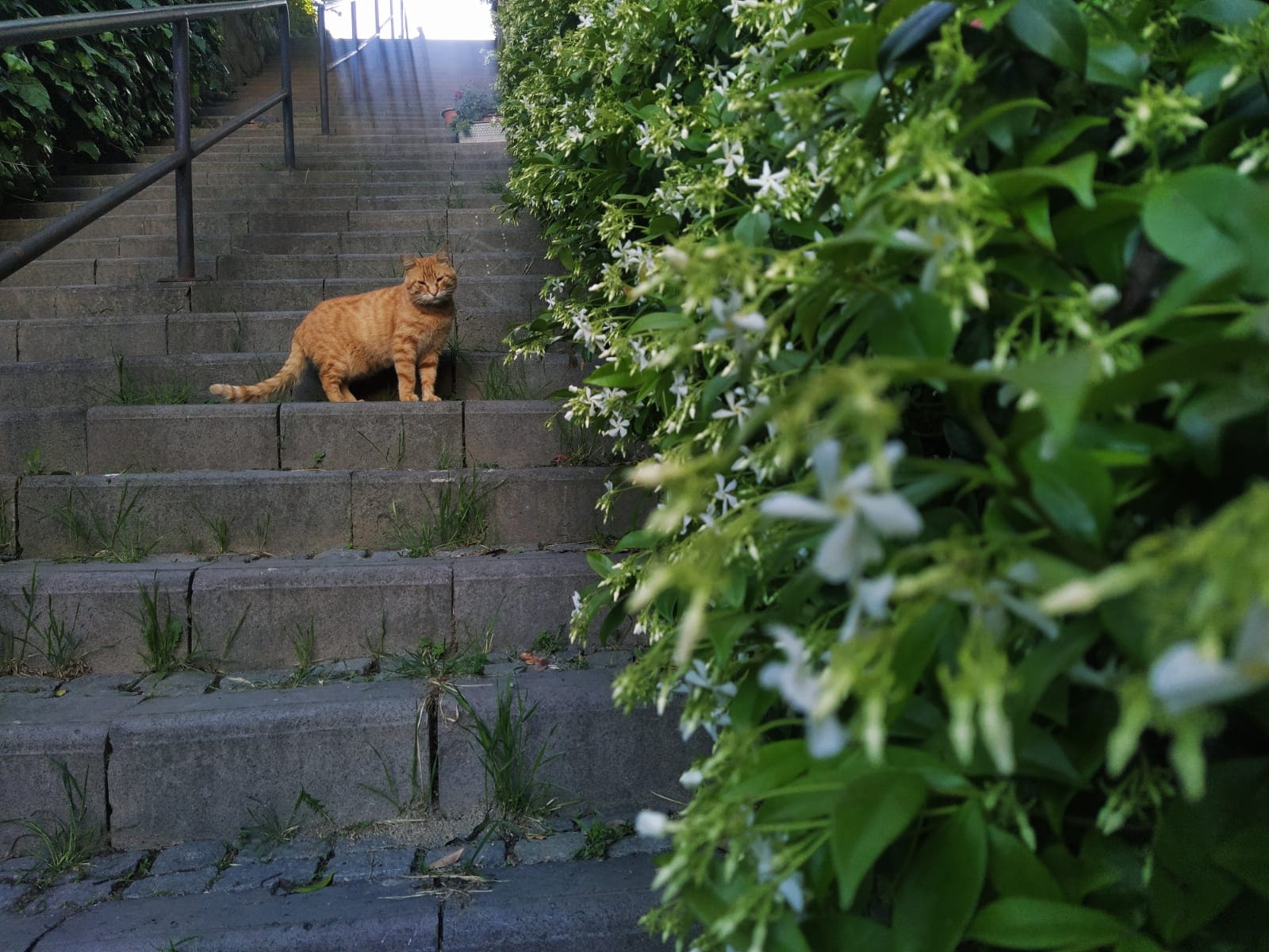 Fotoğraf:İkbal Rana BOZKURT
