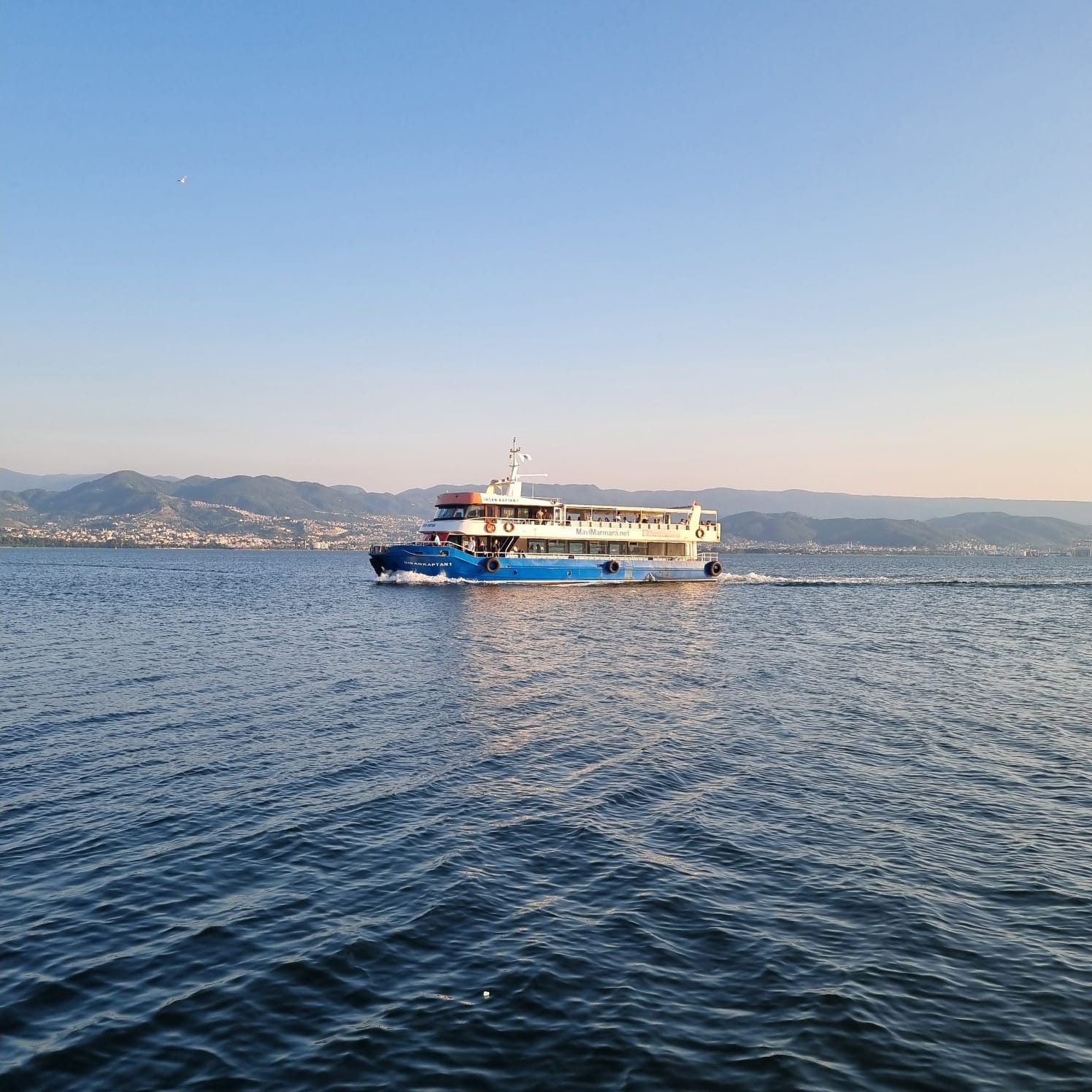 TEK ÇARE