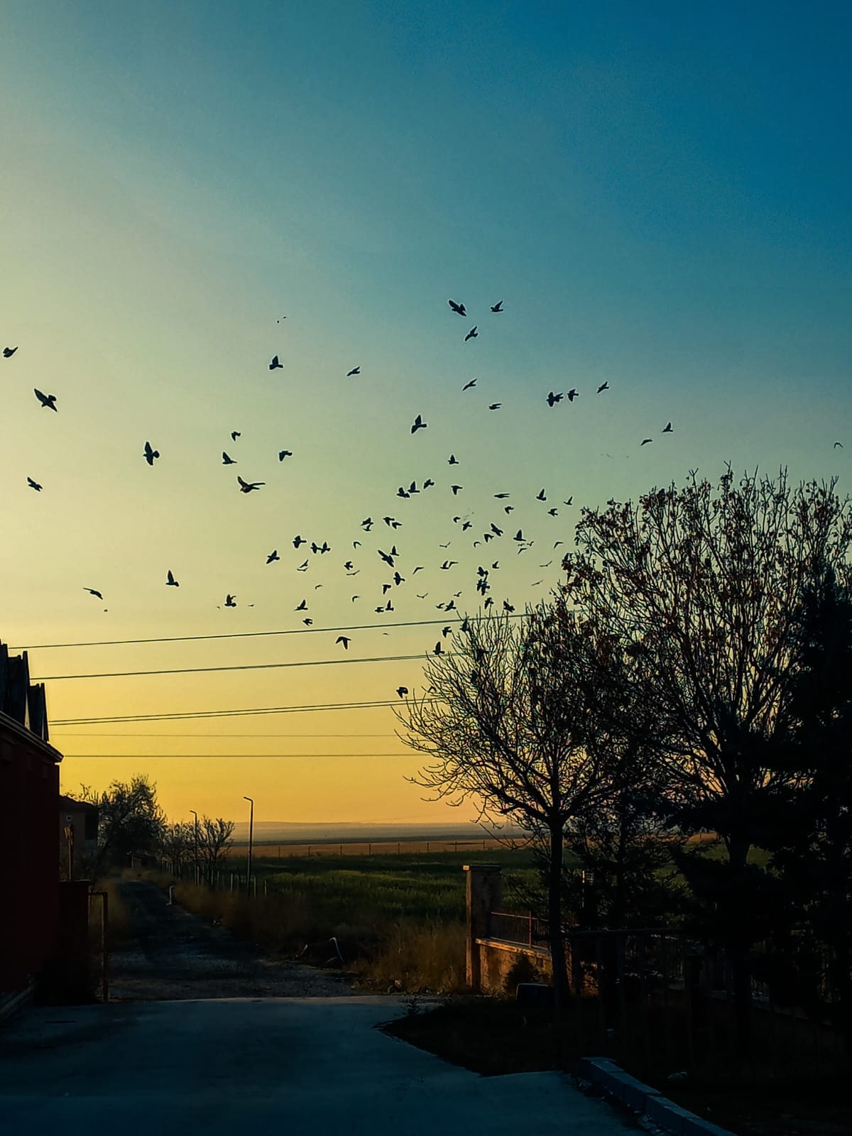 Fotoğraf: Rabia Sıla ORHONLU