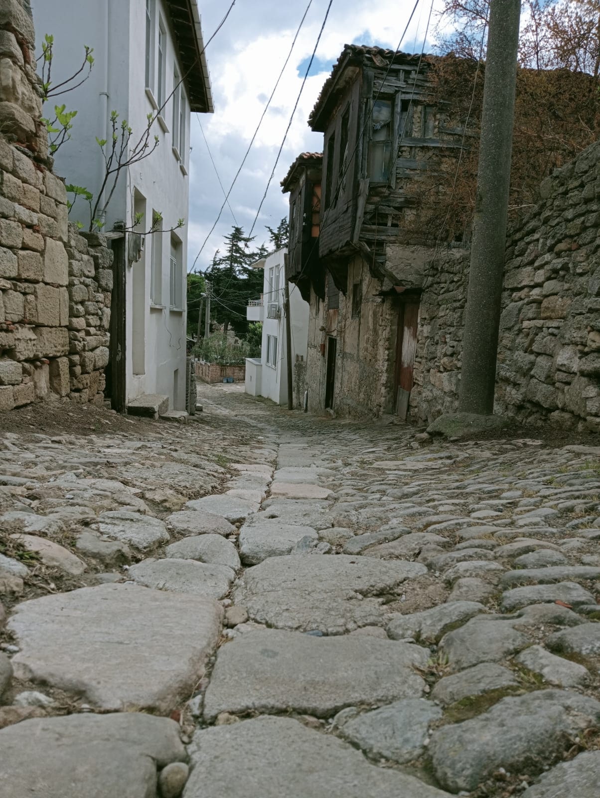 Fotoğraf:Nida GÜLIRMAK