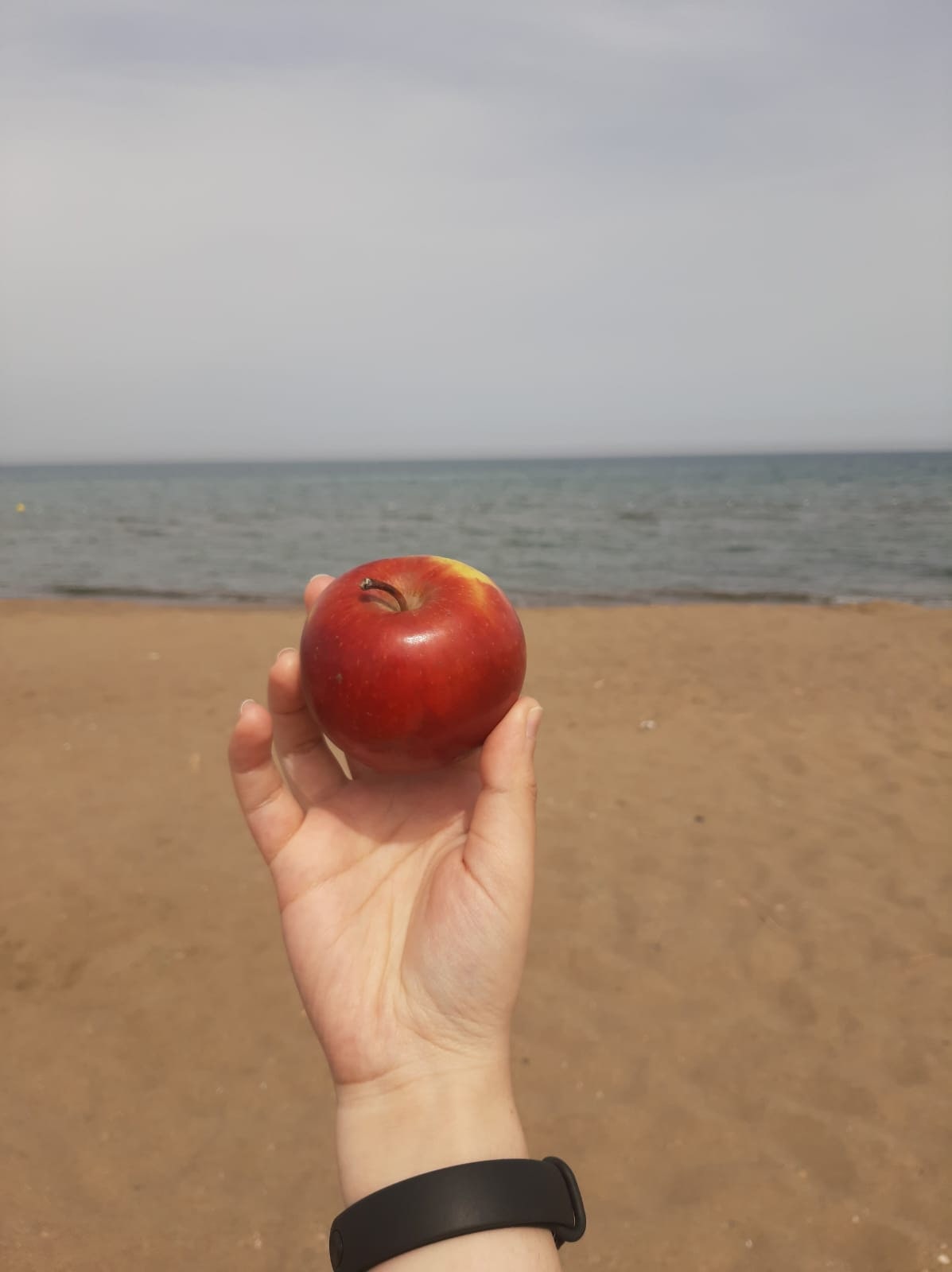 Fotoğraf:Zehra TURKAY