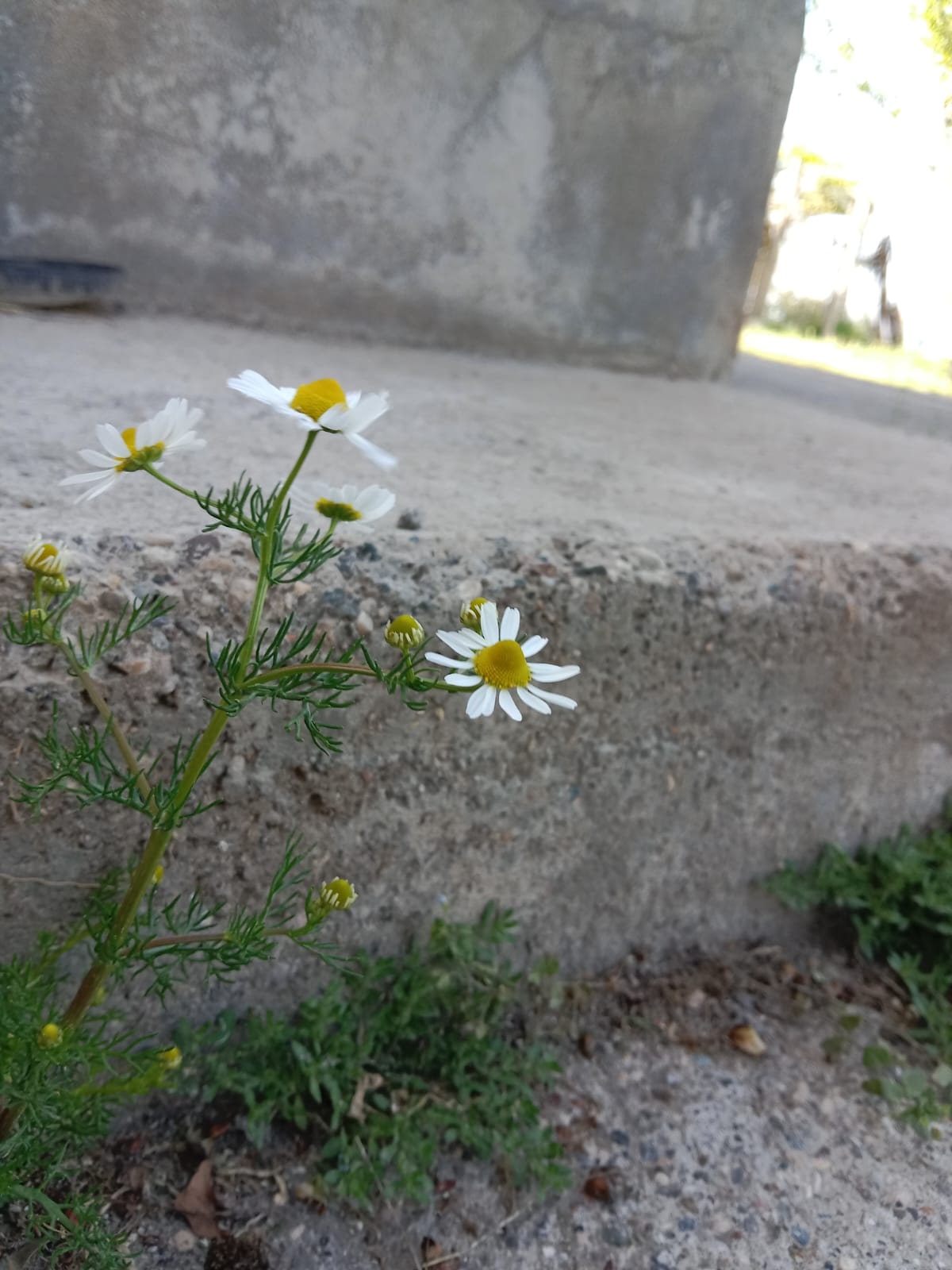 Fotoğraf: Esma ALAN