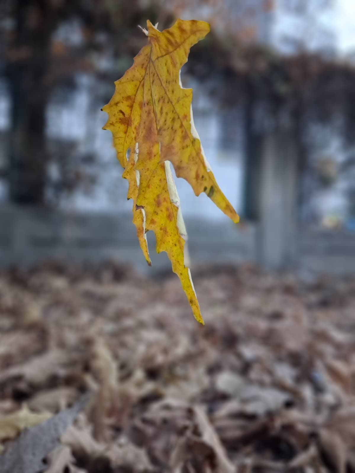 Fotoğraf:Livanur BÜKER