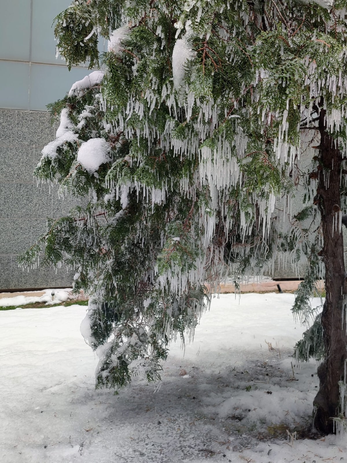 Fotoğraf: Sude Ceren AKPINAR
