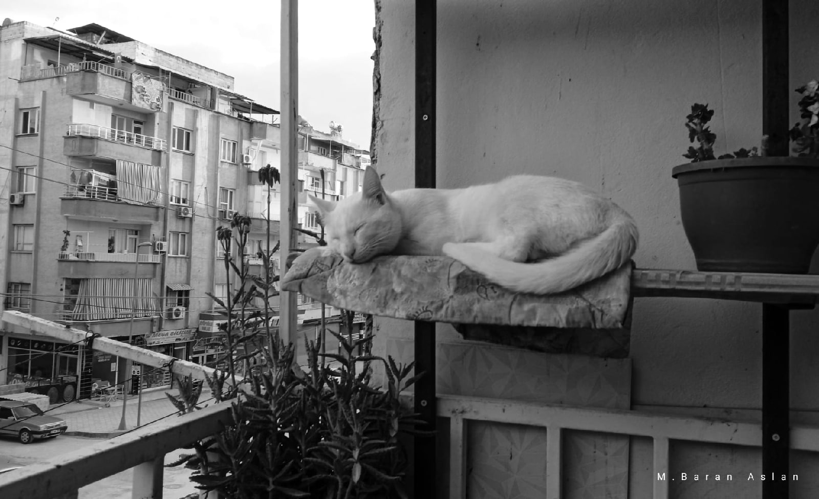 Fotoğraf: Muhammed Baran ASLAN