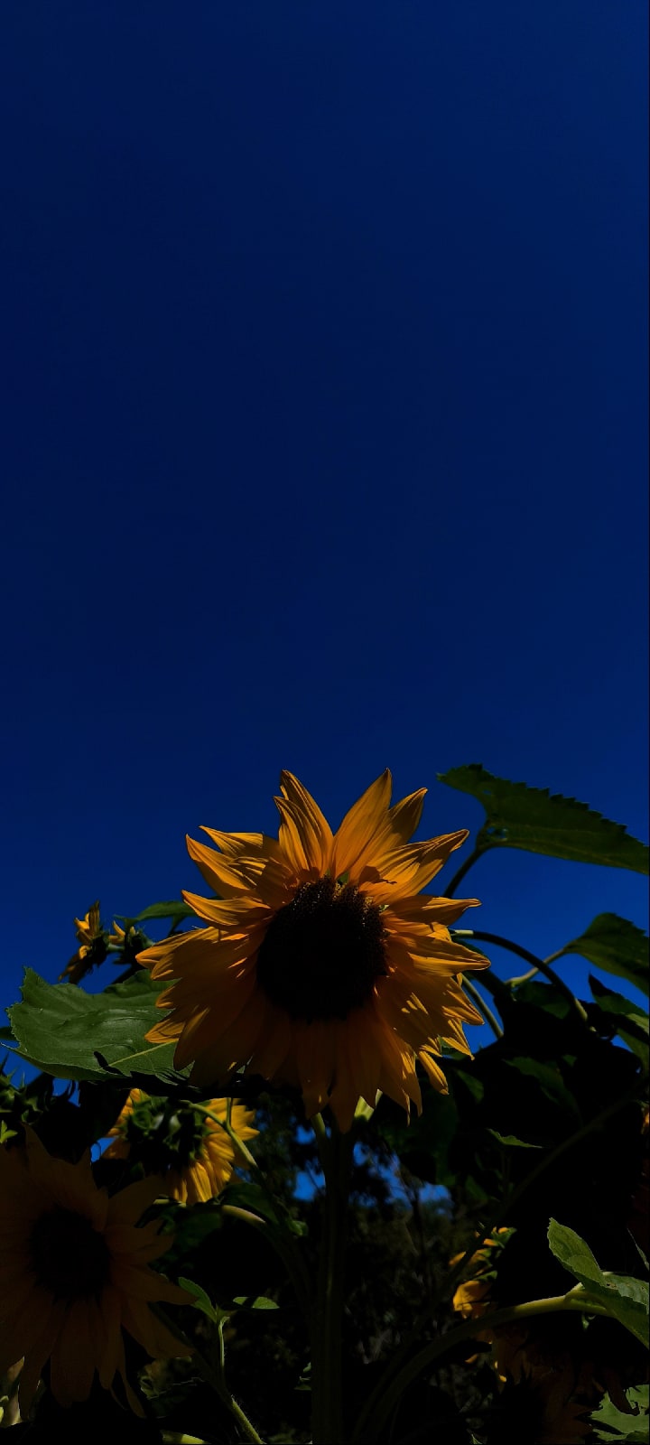 Fotoğraf:Melike GÖKDUMAN