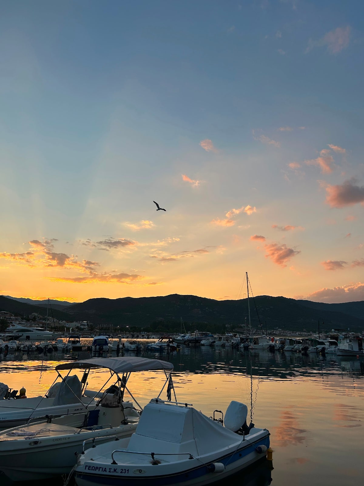 Fotoğraf:Nilay TERTİPLİ